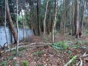 Lote em condomínio em Rua Renoir Granja Viana Cotia/SP