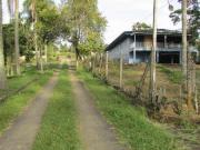 Lote em Estrada das Graças Esmeralda Park Caucaia do...
