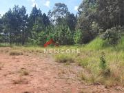 Lote em Estrada Municipal Miguele Petri Terra Preta...