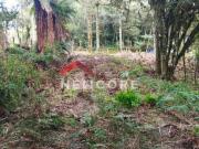 Lote em Rua da Carapina Vale do Carapina São Francisco...