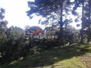 Lote em Rua dos Pessegueiros Campo do Meio São Francisco...