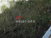 Lote em Rua Doutor Miranda de Azevedo Vila Anglo...