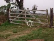Lote em Rua Machado de Assis Veneza Fazenda Rio Grande/PR