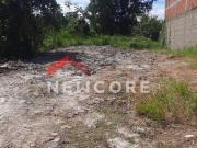 Lote em Rua Pedro Lemos Balneário Flórida Mirim Mongaguá/SP