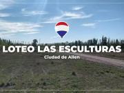 LOTE EN ALLEN BARRIO LAS ESCULTURA