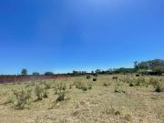 Lote EN ALQUILER en Inmomap