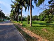 LOTE EN CONDOMINIO LA FLORIDA