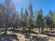 LOTE EN DOS VALLES FINANCIADO