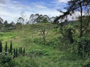 Lote en el carmen de viboral