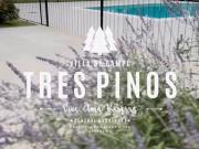 LOTE EN LAS CASUARINAS, Gral RODRIGUEZ TRES PINOS
