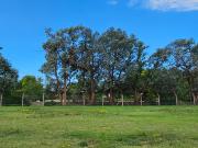 Lote en Los Cardos Pilar