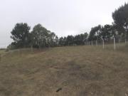Lote en Nuevo Barrio San Rafael en Mar de Ajo 222