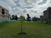 Lote en Oportunidad a la Laguna Orientación Norte