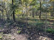 LOTE EN PH EN VENTA EN VILLA ELISA