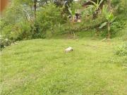 Lote en San Jerónimo, Antioquia en venta