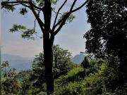 Lote en Sasaima Cundinamarca RAH CO: 25 421