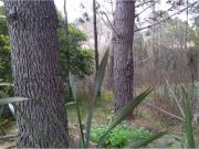 Lote en Valeria del Mar sobre Bathurst, entrada Carilo