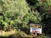 Departamento EN ALQUILER TEMPORARIO