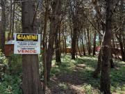 Casa EN VENTA Y ALQUILER