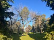 LOTE EN VENTA 487 Y 137 329 m2 QUINTAS DE MÁRQUEZ...