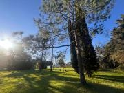 LOTE EN VENTA 489 Y 138 J. GORINA AMPLIA FINANCIACION 330 M2