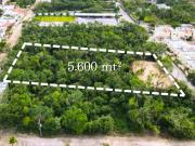 Lote en Venta 5,600 m2 Mixto Av. Colegios Zona Huayacan...