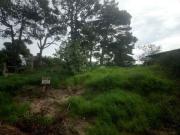 Departamento EN VENTA Y ALQUILER