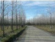 Lote en venta