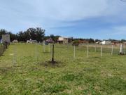 Departamento EN ALQUILER TEMPORARIO