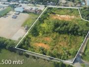 LOTE EN VENTA ALTO DE POMPEYA