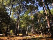 LOTE EN VENTA~ AVANDARO