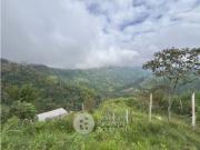 Lote en venta, Bajo Tablazo, Manizales