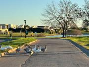 Lote en Venta, Barrio Haras Santa Maria, Escobar, GBA Norte