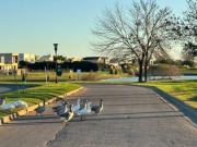 Lote en Venta, Barrio Haras Santa Maria, Escobar, GBA Norte