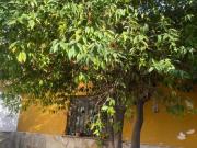 Lote en Venta Capital Mendoza