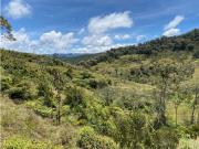 Lote en venta Cocorná Oportunidad por su extensión en tierra