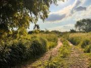 Lote en Venta de 1.1 hectárea B° Comercial con 2...