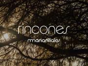 Lote en venta de 304mts en rincones de manantiales