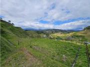 LOTE EN VENTA EL RETIRO ANTIOQUIA, SECTOR PANTANILLO
