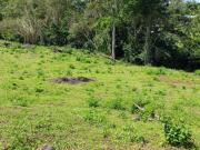 Lote En Venta En Altos Del Rosario V168806