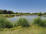 LOTE en VENTA en Barrio privado Comahue Golf