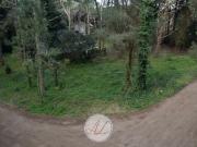 Lote en venta en carilo Urraca