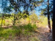 Lote en VENTA en Carretera Mazamitla