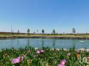 LOTE EN VENTA EN CD JUÁREZ, CHIHUAHUA