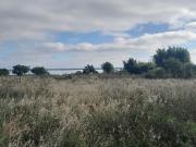 LOTE EN VENTA EN CECILIO ECHEVERRIA
