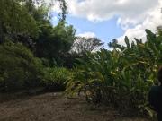 lote en venta en cerritos. Cod V3295081