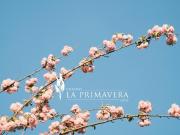 Lote en venta en Chacras Barrio La Primavera Golf,...