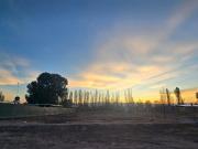 LOTE EN VENTA EN COLONIA SEGOVIA