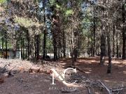 Lote en venta en Costa Esmeralda arbolado