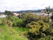 Lote en venta en el carmen de viboral urbano